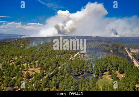 Soufflets de fumée comme le feu de forêt noire continue à brûler le 12 juin 2013 près de Colorado Spring Co., l'incendie a tué deux personnes et détruit plus de 500 maisons de plus en plus destructrices de l'incendie dans le Colorado. Banque D'Images