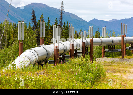 Aleyska, ou Trans - Alaska Pipeline, les montagnes Chugach, au nord de Valdez, Alaska, USA Banque D'Images