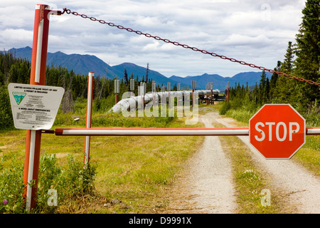 Aleyska, ou Trans - Alaska Pipeline, les montagnes Chugach, au nord de Valdez, Alaska, USA Banque D'Images