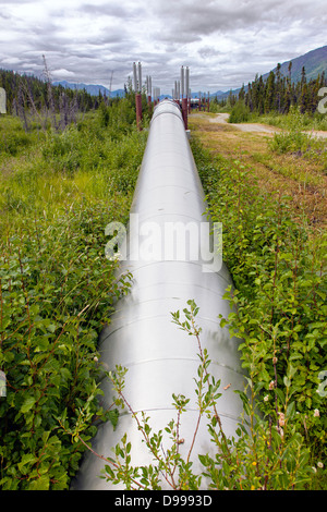 Aleyska, ou Trans - Alaska Pipeline, les montagnes Chugach, au nord de Valdez, Alaska, USA Banque D'Images