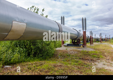 Aleyska, ou Trans - Alaska Pipeline, les montagnes Chugach, au nord de Valdez, Alaska, USA Banque D'Images