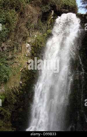 En cascade de l'eau sur une falaise à la cascade de Peguche près d'Otavalo, Équateur Banque D'Images