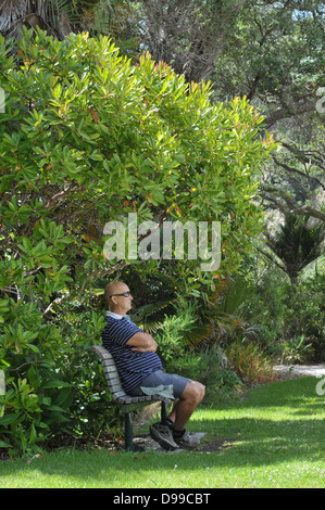 Vieil homme assis sur un banc sous les arbres sur chaude journée d'été Banque D'Images