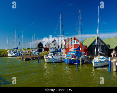 Voiliers dans le port, près de Ahrenshoop Althagen Fischland Darss, Zingst, Mecklembourg-Poméranie-Occidentale, Allemagne Banque D'Images