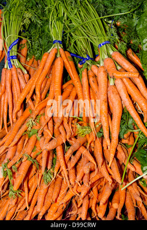 Bouquets de carottes fraîches cueillies sur l'affichage du marché agricole Banque D'Images