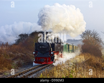 Chemin de fer étroit Racing Roland, Ruegen Island, Mecklembourg-Poméranie-Occidentale, Allemagne Banque D'Images