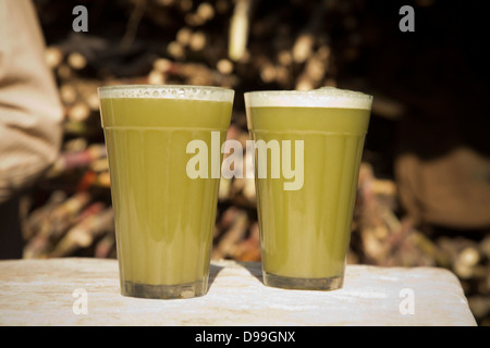 Close-up de deux verres de jus de canne à sucre, Pushkar, Ajmer, Rajasthan, Inde Banque D'Images