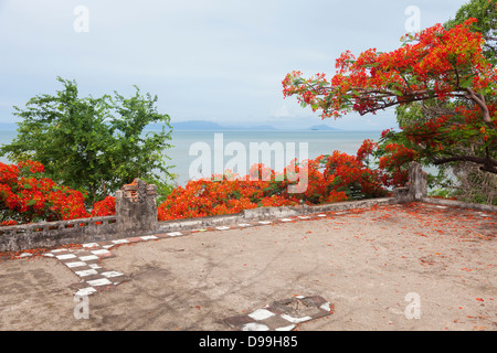 Les arbres de la flamme et Phu Quoc vue mer à partir de Kep - Kep Province, Cambodge Banque D'Images