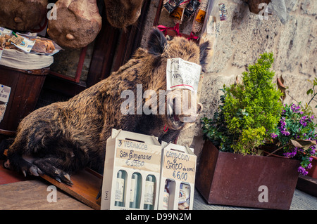 Un sanglier en peluche sur l'affichage à l'extérieur d'un magasin d'artisanat à San Gimignano, Toscane, Italie Banque D'Images