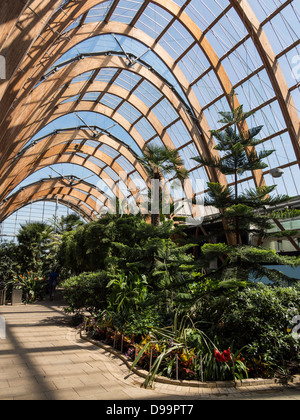 Jardin d'hiver de Sheffield 2003, la plus grande agglomération urbaine en Europe en serre Banque D'Images