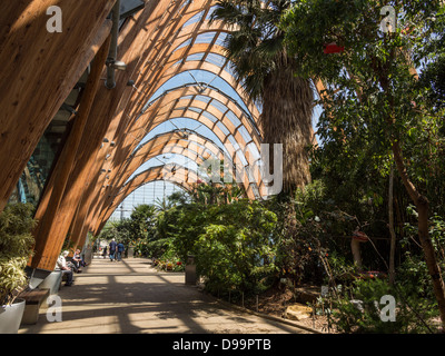 Jardin d'hiver de Sheffield 2003, la plus grande agglomération urbaine en Europe en serre Banque D'Images