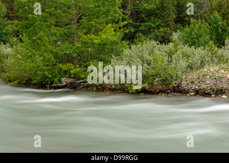 Swiftcurrent River dans le parc national des Glaciers Glacier du Montana de l'unité de nombreux USA Banque D'Images