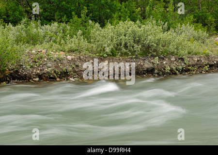 Swiftcurrent River dans le parc national des Glaciers Glacier du Montana de l'unité de nombreux USA Banque D'Images