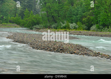 Le ruisseau Blakiston Waterton Lakes National Park Alberta Canada Banque D'Images