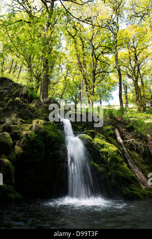 Venford brook cascade. Le Dartmoor, dans le Devon, Angleterre Banque D'Images