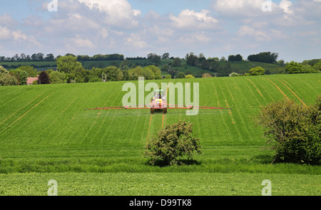 La pulvérisation dans un paysage d'été dans les collines de Cotswold Banque D'Images