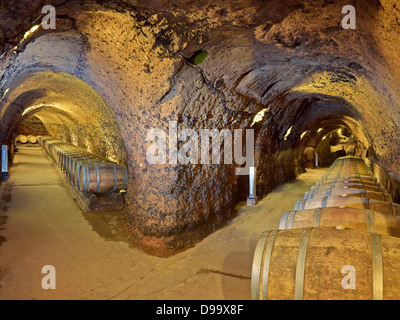 Chai en cave, Ksara Winery, vallée de la Bekaa, Liban, Moyen-Orient Banque D'Images
