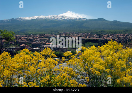 Le mont Etna, Randazzo, Sicile, Italie, volcan, province Catania , Vulkan Aetna, Randazzo, sicilia, Italie, Provinz Catania Banque D'Images