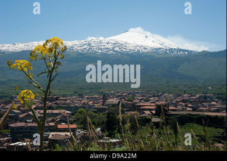 Le mont Etna, Randazzo, Sicile, Italie, volcan, province Catania , Vulkan Aetna, Randazzo, sicilia, Italie, Provinz Catania Banque D'Images