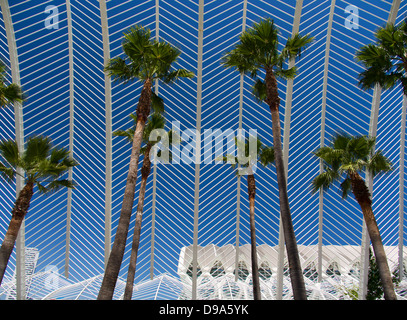 City Arts Sciences Valencia Espagne Umbracle et jardins d'hiver Banque D'Images