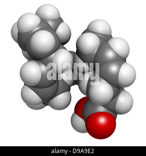 L'acide gras oméga-3 acide docosahexaénoïque, DHA, le modèle moléculaire. Les atomes sont représentés comme des sphères avec codage couleur classiques Banque D'Images