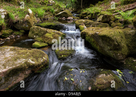 Venford Brook. L'eau et les roches. Le Dartmoor, dans le Devon, Angleterre Banque D'Images