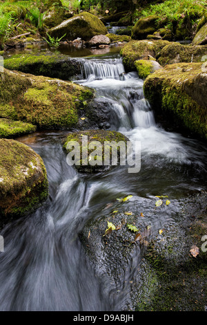 Venford Brook. L'eau et les roches. Le Dartmoor, dans le Devon, Angleterre Banque D'Images