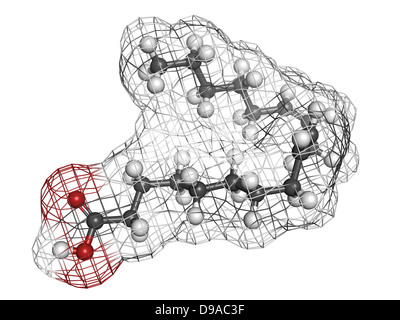 Omega-6 acides gras insaturés (acide linoléique, LA), le modèle moléculaire. Les atomes sont représentés comme des sphères de couleur classiques Banque D'Images