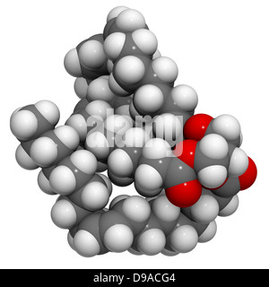 L'huile végétale de triglycérides insaturés molécule, la structure chimique. Banque D'Images