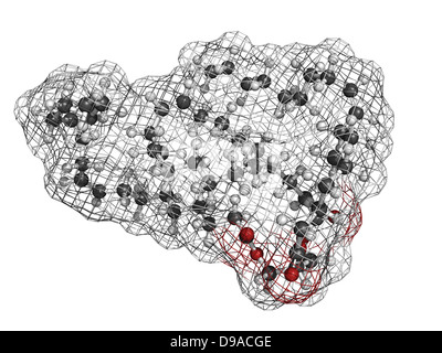 L'huile végétale de triglycérides insaturés molécule, la structure chimique. Banque D'Images