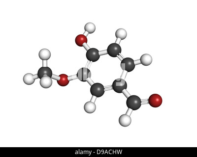 Extrait de vanille, la vanilline, molécule de structure chimique. La vanilline est la principale composante de l'extrait de vanille. Banque D'Images