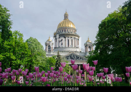 La cathédrale Saint-Isaac, Saint-Pétersbourg, Russie avec des tulipes fleurir à l'avant Banque D'Images