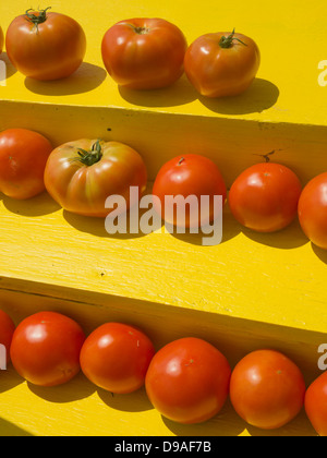 New Jersey tomates Beefsteak dans un éventaire routier Banque D'Images