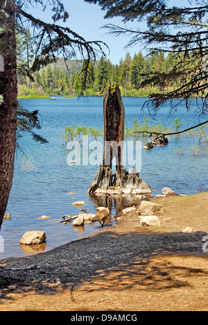 Manzanita Lake dans Lassen Volcanic National Park, Californie du Nord Banque D'Images