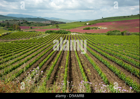 Paysage, près de Rocche di Rao, SS 118, Sicile, Italie , Landschaft, nahe Rocche di Rao, SS 118, sicilia, Italie Banque D'Images