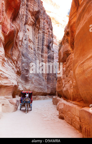 Al-Siq, Petra, Jordanie Banque D'Images