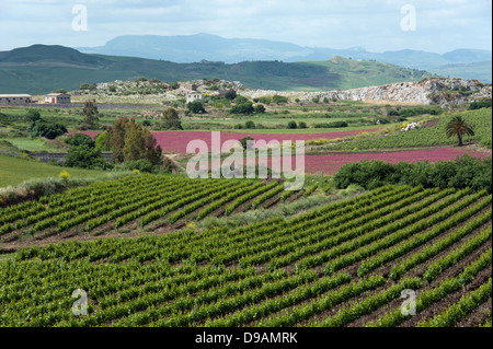 Paysage, près de Rocche di Rao, SS 118, Sicile, Italie , Landschaft, nahe Rocche di Rao, SS 118, sicilia, Italie Banque D'Images