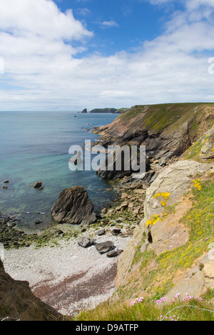 Vue côtière gallois vers l'île de Skomer Pembrokeshire, région connue pour les macareux, de la faune et une réserve naturelle nationale. Banque D'Images