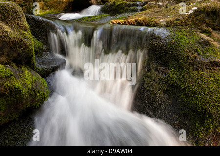 Venford Brook. L'eau et les roches. Le Dartmoor, dans le Devon, Angleterre Banque D'Images