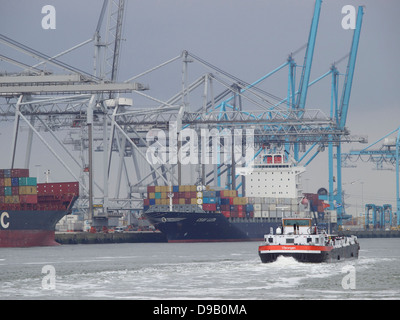 Les terminaux à conteneurs APM sur la Maasvlakte 2 dans le port de Rotterdam, Pays-Bas Banque D'Images