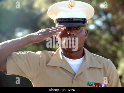 Un Marine américain avec une force de rotation Marine rend hommage à l'USS Darwin monument Peary à commémorer le 71e anniversaire de la bataille de la mer de corail le 3 mai 2013 à Darwin, en Australie. Banque D'Images