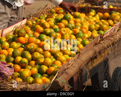 La vente des oranges dans les rues de New delhi Banque D'Images