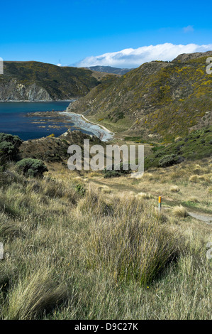 Dh Ohariu Bay MAKARA BEACH NEW ZEALAND Makara sentier pour piétons près de Wellington Banque D'Images