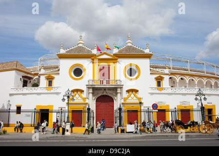 Arènes de Séville (Espagnol : Plaza de Toros de la Torres de de Sevilla), Andalousie, espagne. Banque D'Images