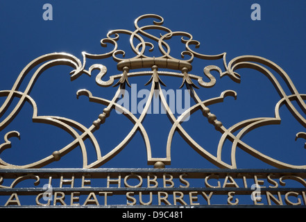 Hobbs Gates à Oval Cricket Ground, London Banque D'Images