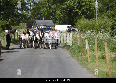 Les Tsiganes dur leurs chevaux à la 'voie clignotant' ou 'Mad mile' pour montrer aux acheteurs à Appleby Horse Fair, en Cumbria, Angleterre Banque D'Images