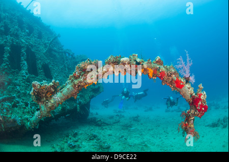 Les plongeurs d'explorer une vieille épave sous-marine dans un océan tropical Banque D'Images