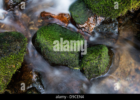 Venford Brook. L'eau et les roches. Le Dartmoor, dans le Devon, Angleterre Banque D'Images