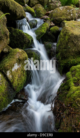 Venford Brook. L'eau et les roches. Le Dartmoor, dans le Devon, Angleterre Banque D'Images