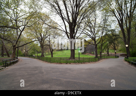 Vue sur les sentiers autour de Cedar Hill à New York City's Central Park. Banque D'Images